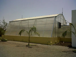 Green House Shed
